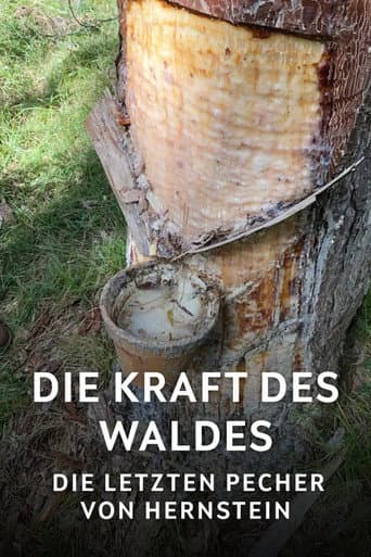 Die Kraft des Waldes - Die letzten Pecher von Hernstein