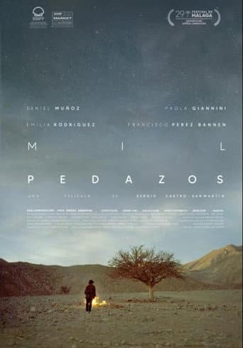 Mil pedazos