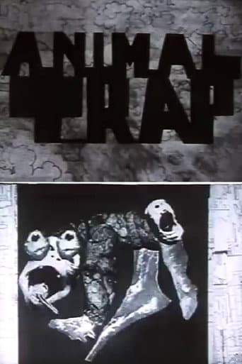 Animal Trap