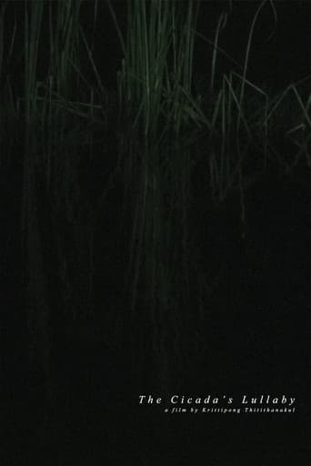 The Cicada's Lullaby