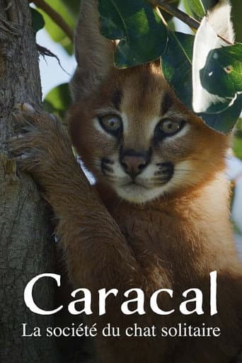 Caracal: The Lone Cat Society