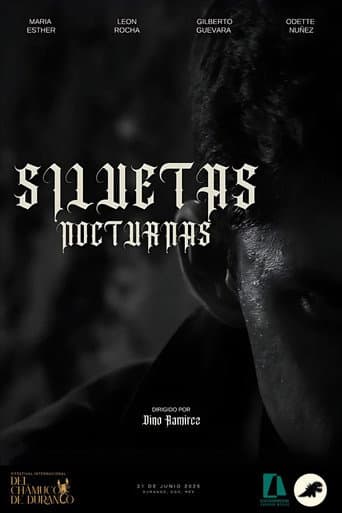 SILUETAS NOCTURNAS