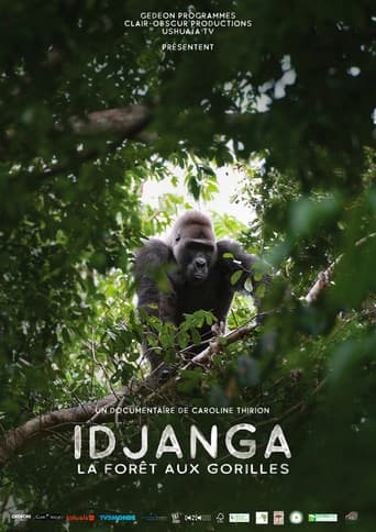 Idjanga, la forêt aux gorilles