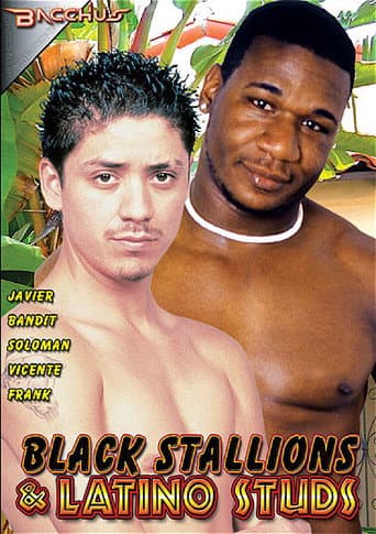 Black Stallions & Latino Studs