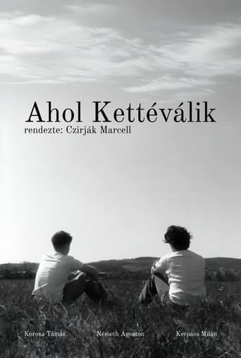 Ahol Kettéválik