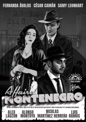 The Montenegro Affair