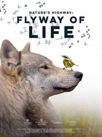 Flyway of Life