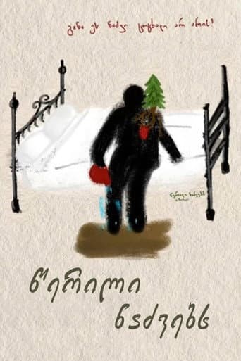 A Letter to Fir Trees