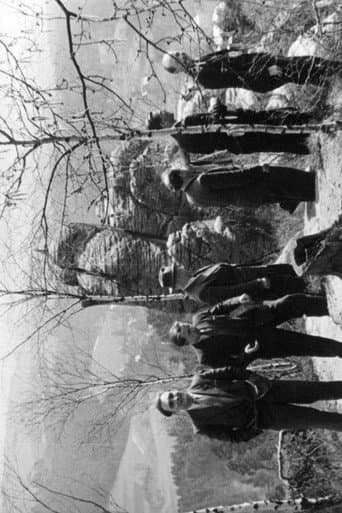 The Seven from the Rhine