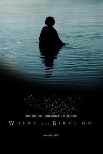 Where the birds go