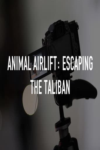 Animal Airlift: Escaping the Taliban