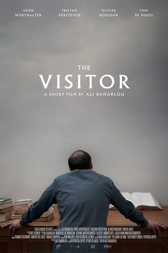 The Visitor