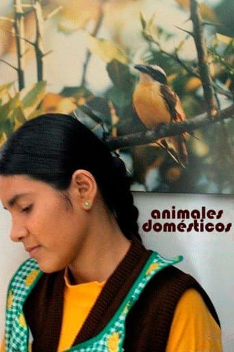 Animales Domésticos