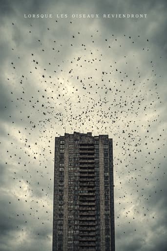 When The Birds Return