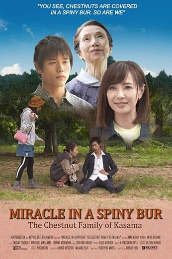Miracle in Kasama