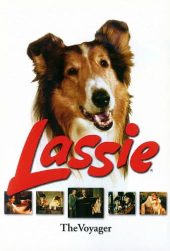 Lassie, the Voyager