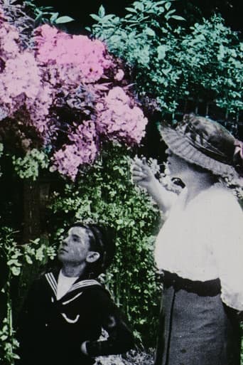 Flowers in the Garden