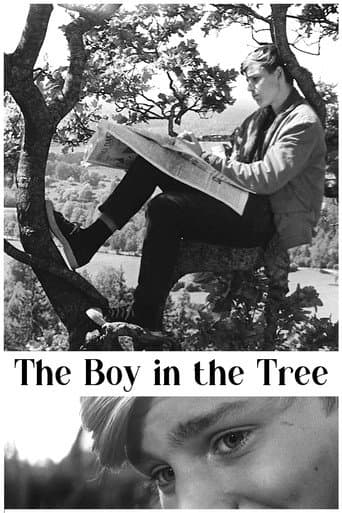 The Boy in the Tree
