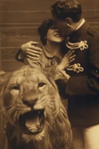 Love Amongst the Lions