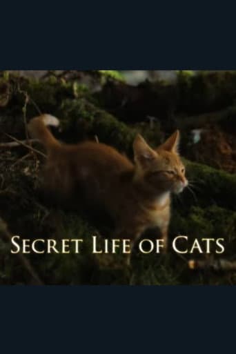 The Secret Life of Cats