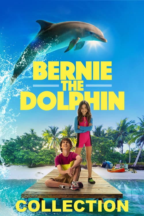 Bernie the Dolphin Collection