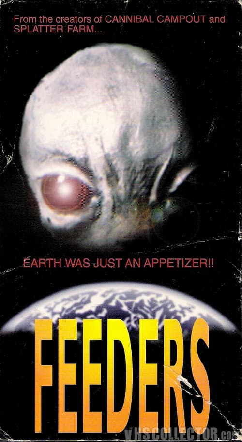 Feeders Collection