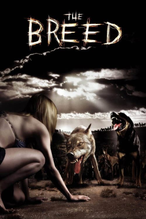 The Breed Collection