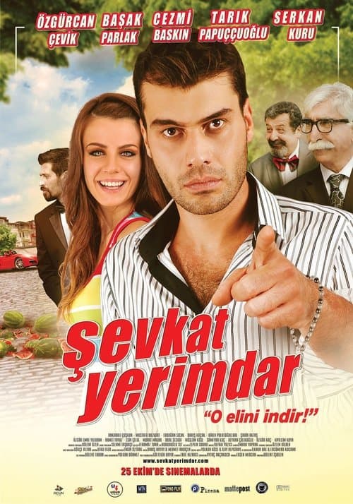 Şevkat Yerimdar [Seri]
