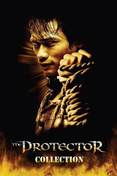 The Protector Collection