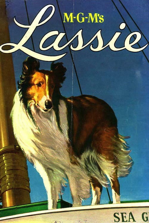 Lassie Collection