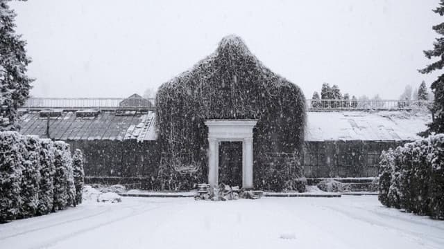 The Winter Garden’s Tale