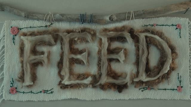 Feed