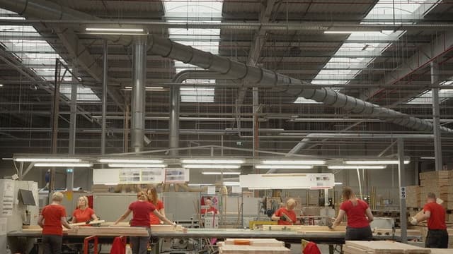 How Ikea Plunders the Planet