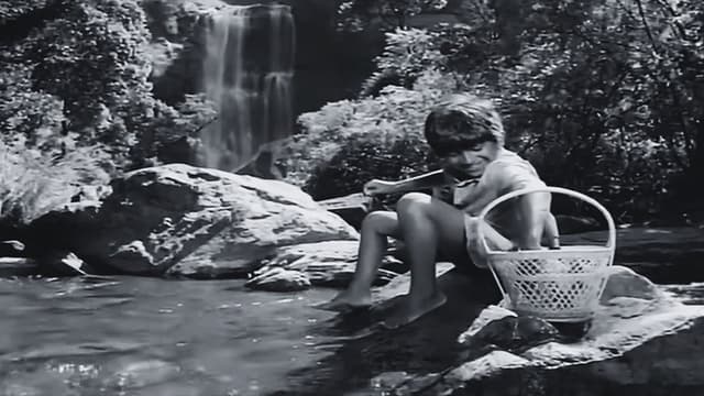 Bettada Hoovu