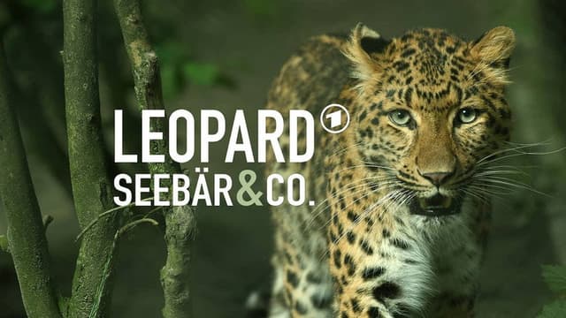 Leopard, Seebär & Co.