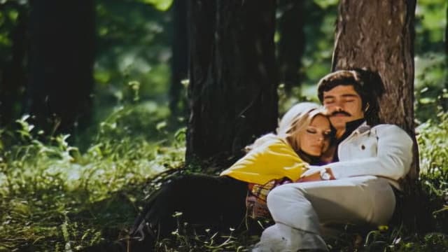 Almanyalı Yarim