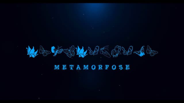 Metamorphosis
