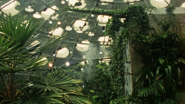Tropical Fractals
