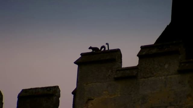 Crisis at the Castle