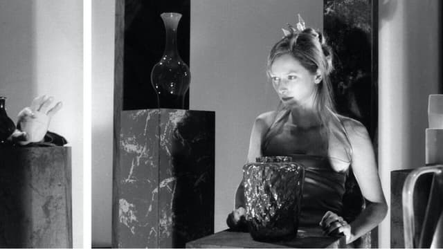 The Party: Nature Morte