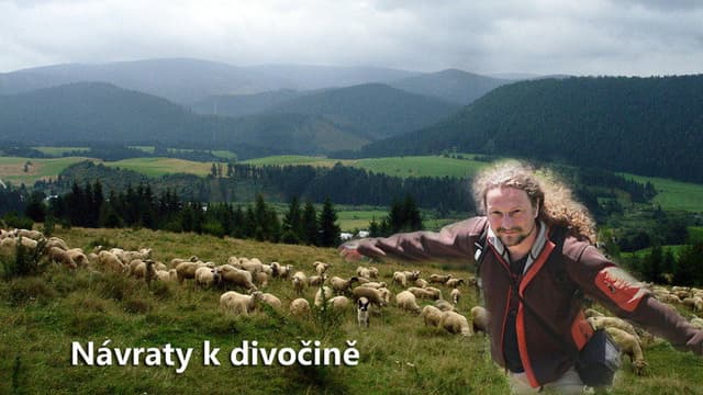 Návraty k divočině