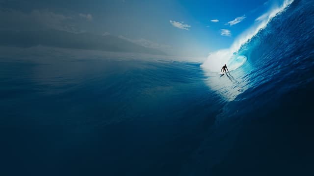 Holy Surf! - Once Upon a Wave