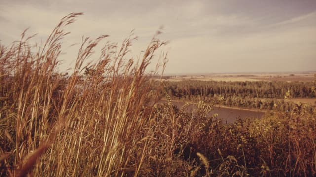 America's Lost Landscape: The Tallgrass Prairie