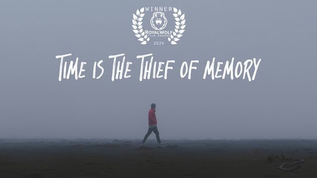 Time is the Thief of Memory