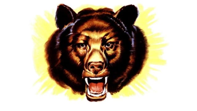 Bear Country