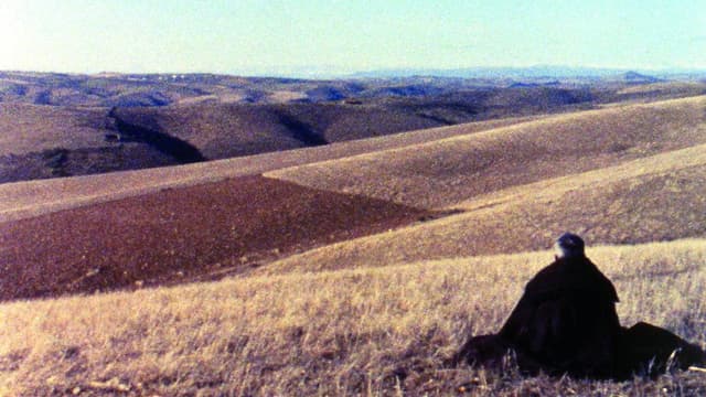 Trás-os-Montes