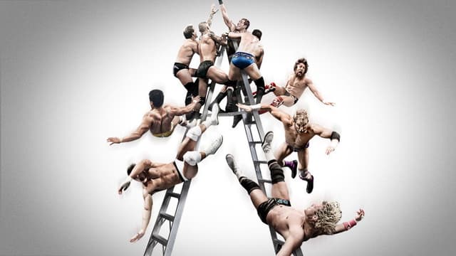 WWE Money in the Bank 2013