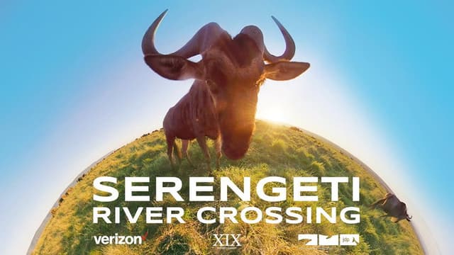 Serengeti River Crossing