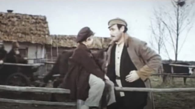 The Geese-Swans Fly