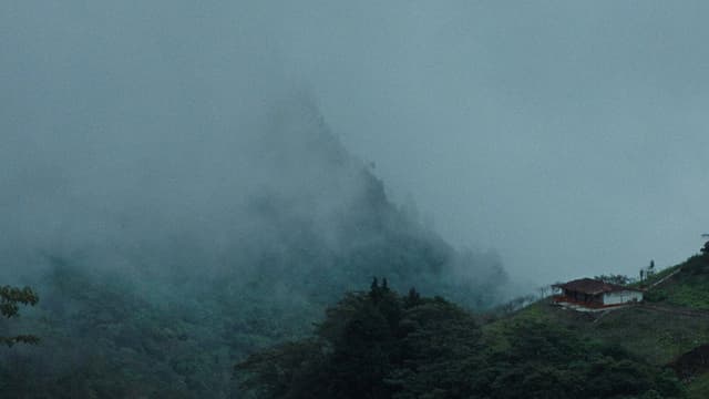 Under the Mountain's Shadow